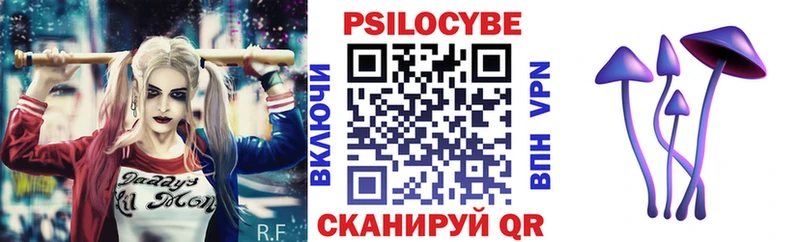 Купить  Вилючинск  Псилоцибиновые грибы мухоморы 