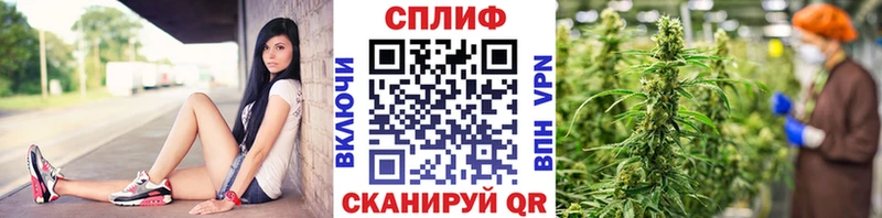 Купить закладки  Вилючинск  Бошки Шишки Bruce Banner 